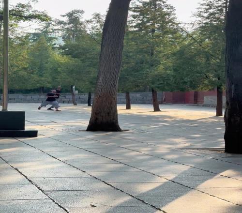 岁月静好!文班俨然已经融入少林寺