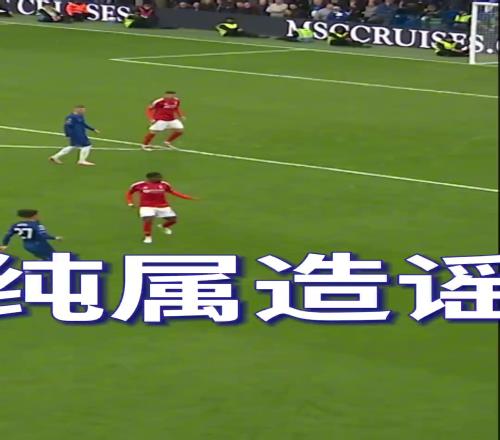 切尔西官媒:有报道说帕尔默智力不行澄清一下这是谣言!