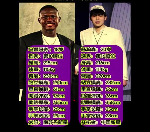 富保罗旗下两位天才中锋!杨瀚森和马卢阿奇静态天赋数据对比