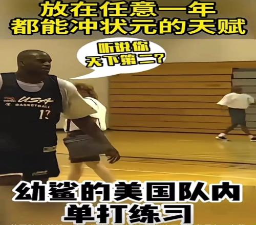 放在历史任意一年都能冲状元幼鲨在美国男篮队内单打视频