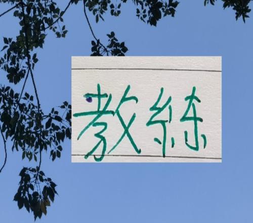 中超教練就差北京國安跟成都蓉城沒(méi)有官宣