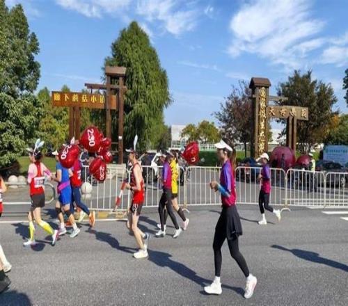 在奔跑中感受田園魅力！2025浙滬鄉(xiāng)村半程馬拉松賽開跑
