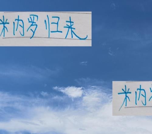 米內羅不會是離開是隊內最佳射手歸來還是申花最佳射手吧