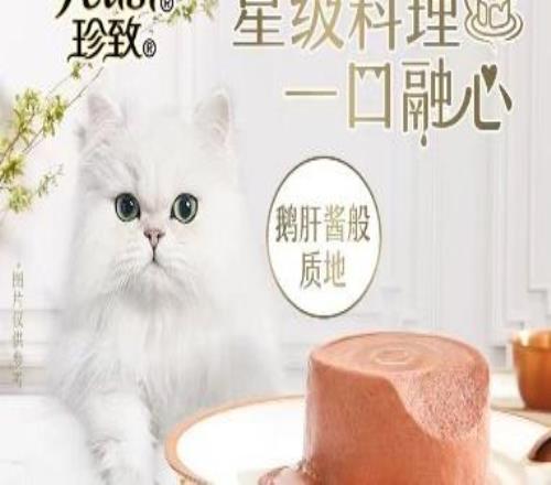 汪星人集合！崇悅同萌歡樂跑賽事規(guī)程發(fā)布，3公里萌趣之旅等你沖！