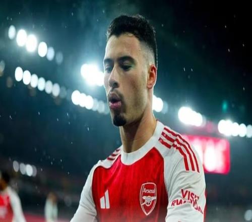 郵報(bào)長文揭秘馬丁內(nèi)利：生活中淡泊名利，球場上全力以赴