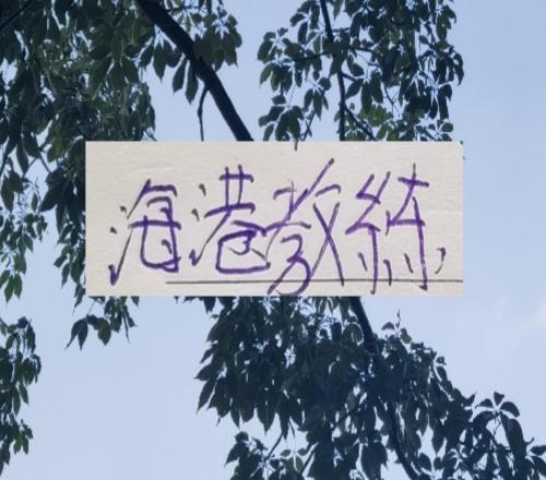 如果說海港掀起澳系教練風潮！那么北京國安是葡萄牙淘貨的宗師