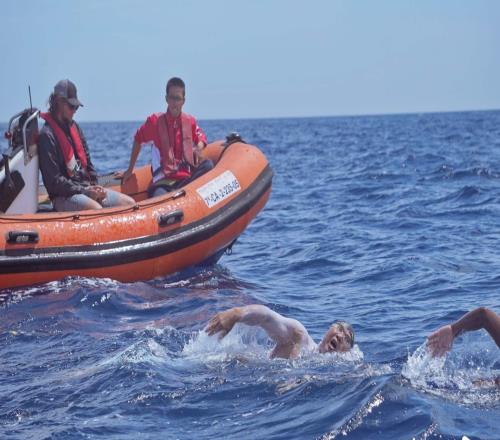 東莞游泳名將陳蘇偉獲央視體壇榮耀之夜“極限瞬間”人物稱號(hào)