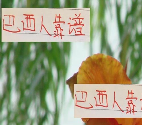 還是巴西外援靠譜！從海港巴西幫再到河南桑巴壯漢！