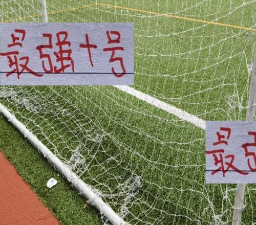 最強的10號！在中超還是巴西外援靠譜從海港維塔爾河南的納薩