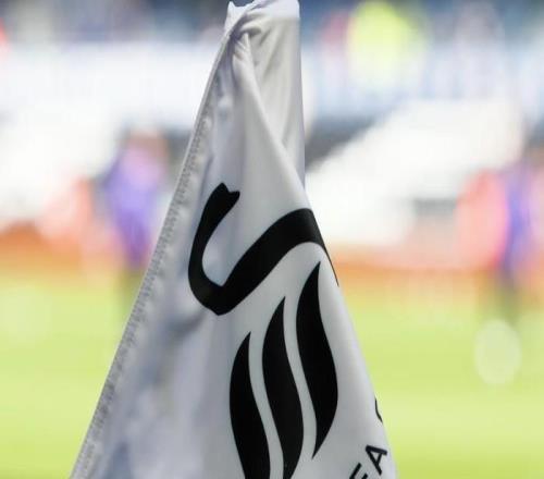 斯旺西官方：球隊(duì)已正式解雇主教練希恩帶隊(duì)20場6勝6平7負(fù)