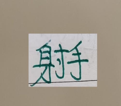 中超前5名的當(dāng)家射手都定了！申花是大魚拉唐其他還是老樣子