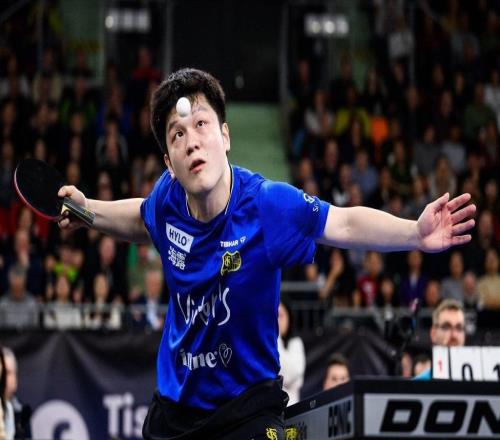 德國杯登頂收獲留洋首冠，樊振東的收獲遠不止贏球