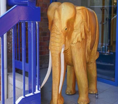 泰晤士報：謝周三計劃拍賣球場的標志性金象以籌集資金