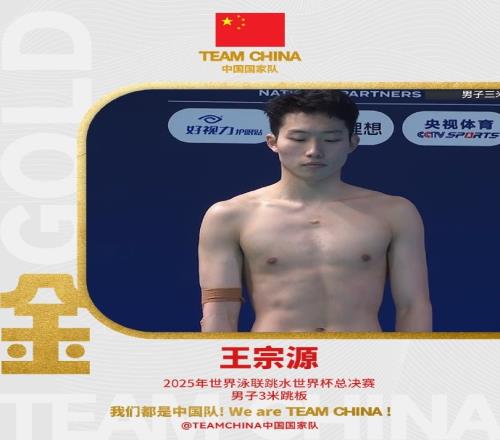 夢(mèng)之隊(duì)！跳水世界杯總決賽：王宗源男子3米板奪冠，鄭九源亞軍