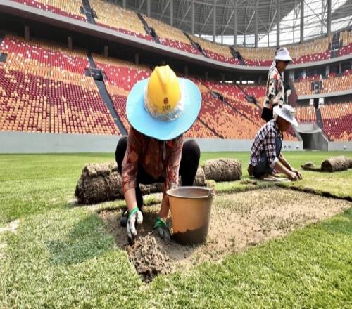 渝媒：龍興足球場完成8000平方米草坪移植確保達國際A級賽事標準