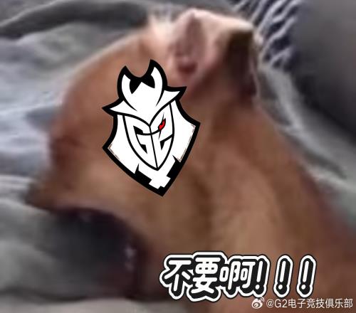 G2官推自嘲MSI出局:"haha至少我们赢得了内容创作世界冠军!"