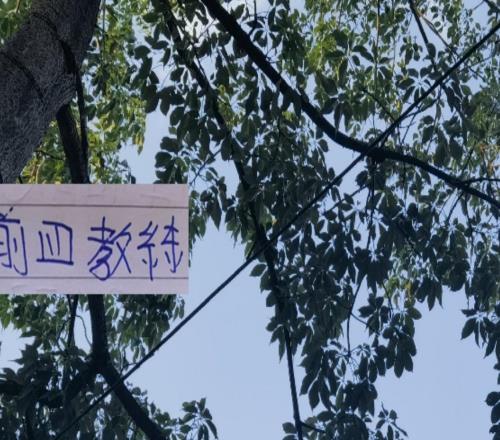 今年前4名教練明年還能“再見”嗎其他球隊不知道但申花肯定穩(wěn)
