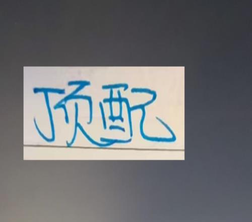 申花說實(shí)話差的是外援本土球員都是頂配