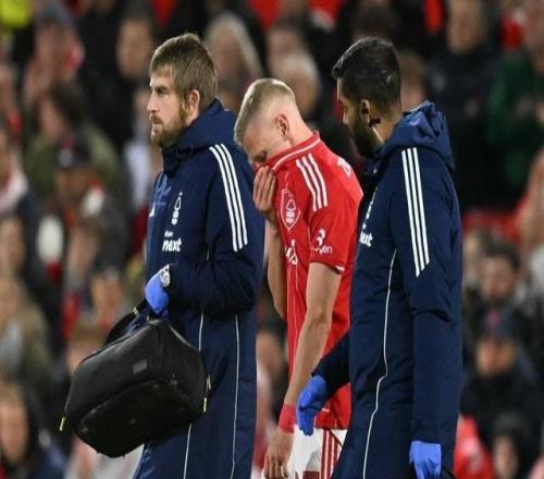 郵報(bào)：津琴科在森林未來充滿不確定性，但租借協(xié)議沒解約條款