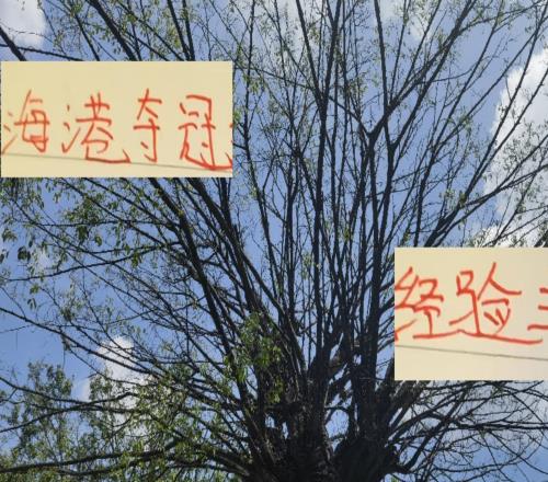 10年里！前四的球隊(duì)只有海港有中超聯(lián)賽奪冠經(jīng)歷