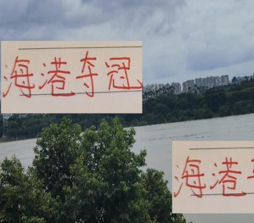 今年海港能否奪冠關(guān)鍵還是武磊接班人萊昂納多