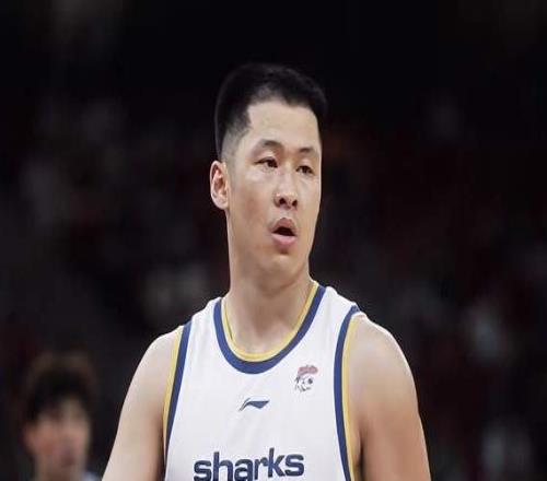 張鎮(zhèn)麟打不了持球，上海男籃缺本土后衛(wèi)新援拿2分壓力給到盧偉