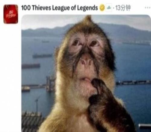 昨天狂完了！100T賽后更推：我向你道歉，我不了解你LPL的實力！