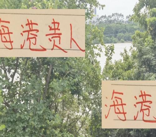 深圳隊(duì)能成為海港貴人嗎他們第29輪客戰(zhàn)申花30輪主戰(zhàn)成都