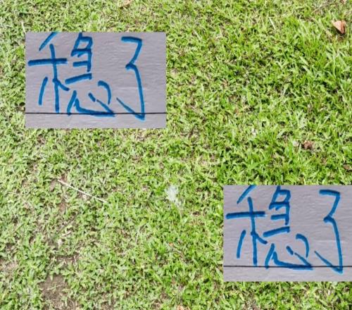 穩(wěn)了！最后一輪海港+申花的比賽都有央視直播你選擇看哪場