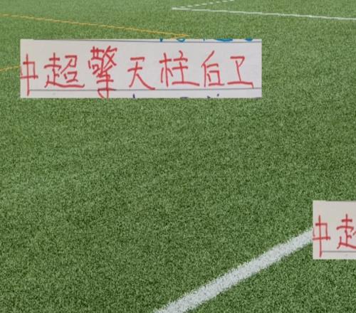 20輪下來(lái)中超前4擎天柱中衛(wèi)最厲害還是提莫然后是申花朱辰杰
