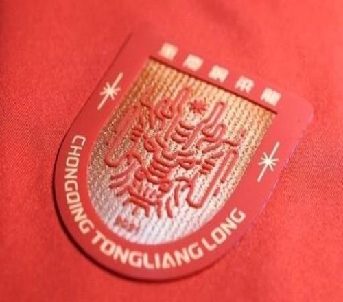 成都蓉城祝賀銅梁龍沖超：期待我們明年中超賽場見