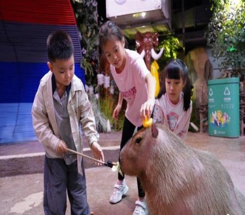 運(yùn)動(dòng)員免費(fèi)！正佳極地海洋世界送出多項(xiàng)福利迎全運(yùn)會(huì)