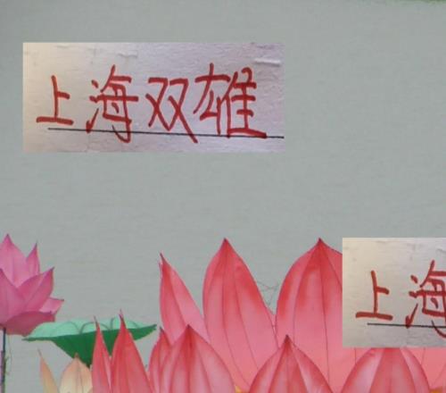 又是上海雙雄爭(zhēng)冠！萬(wàn)一海港是冠軍申花就可能有10個(gè)亞軍了