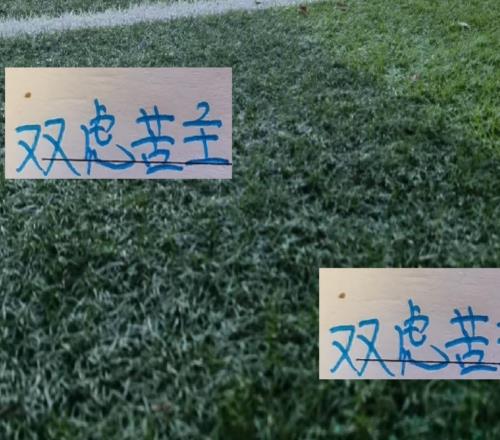 卡扎真是上海雙虎苦主！他打申花進(jìn)了3個(gè)球打海港又進(jìn)球