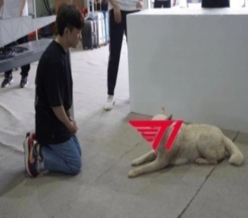 T1超話熱議將迎來生死戰(zhàn)：你們五個慌不慌我不知道我已經(jīng)快瘋了