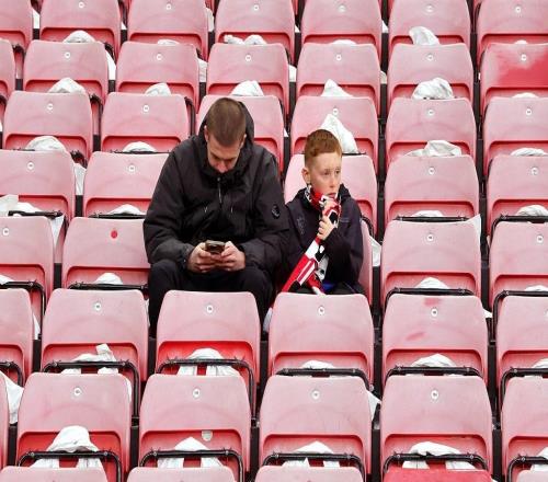 當(dāng)憤怒退場(chǎng)：不吵架，不罵人，“草食性”球迷如何安靜看球