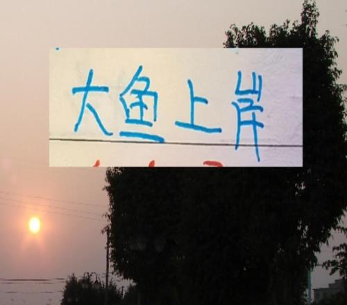 有大魚才有奪冠的希望！海港申花成都浙江都有大魚上岸了