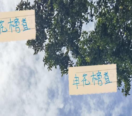 沒想到！申花霸屏榜首最多但現(xiàn)在奪冠概率只能排第3！
