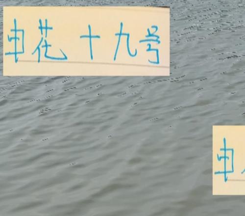換個角度看申花19號！12場比賽造6球阿蘇埃其實挺厲害的！