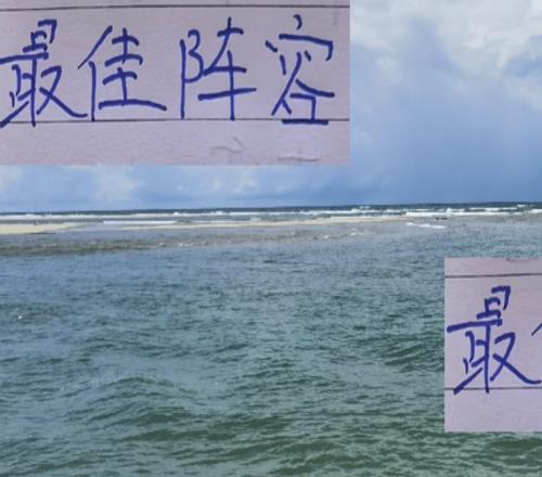 不合理呀！8月最佳陣容海港一個球員都沒進他們可是中超老二