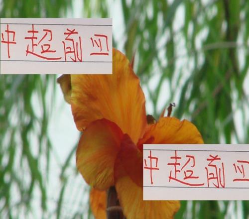 中超前4的領(lǐng)袖！本賽季海港已經(jīng)不是武磊申花還是吳曦