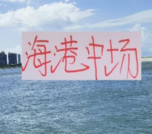 如果海港中場(chǎng)錦鯉離開(kāi)！本土球員誰(shuí)能代替他的位置