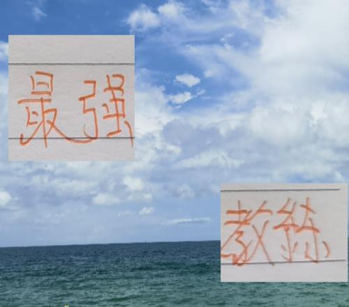 中超最強(qiáng)救火教練！河南葡萄牙洋帥先后拿下申花成都北京國安