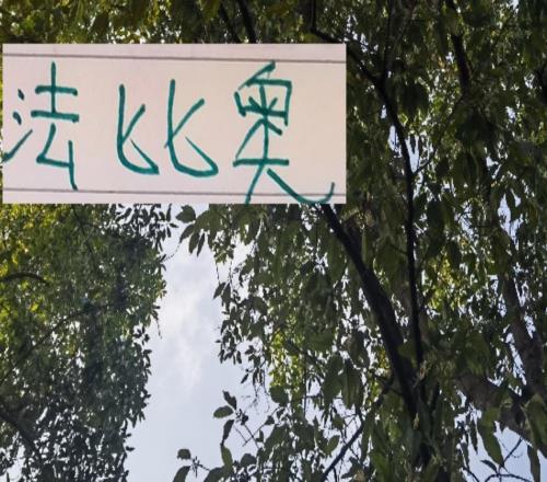 西班牙教頭走后！北京國安大佬法比奧最后四輪能爭最佳射手嗎