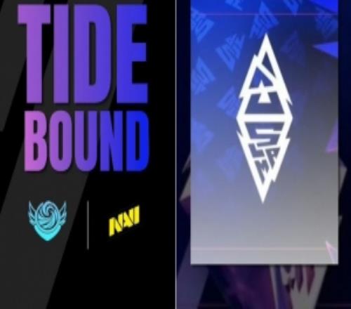 BLAST5：優(yōu)勢期慢了一步壓制虛空不及時戰(zhàn)車01被Navi翻盤