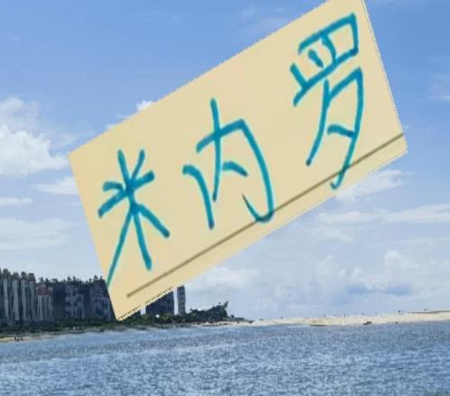 米內(nèi)羅當(dāng)年J聯(lián)賽都踢不明白在申花大修前也能進(jìn)球如麻