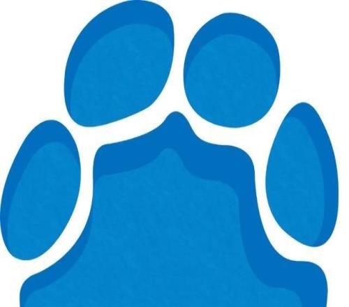 日本國腳竟拿“戰(zhàn)犯”照片合影，英超球隊道歉：向?qū)χ袊斐傻娜魏蚊胺刚\摯道歉