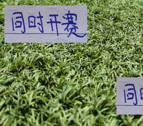 申花不用擔(dān)心海港先出場！最后一輪同時開賽二弟就別抱怨大哥