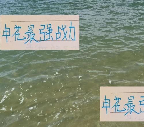 沒想到！申花的最強(qiáng)戰(zhàn)力都在包廂！
