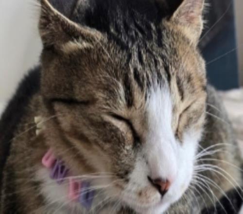 不搞張自拍Peanut評論Viper的ins：只傳蒙多的照片有點可惜捏